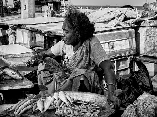 Madras | India | 2019