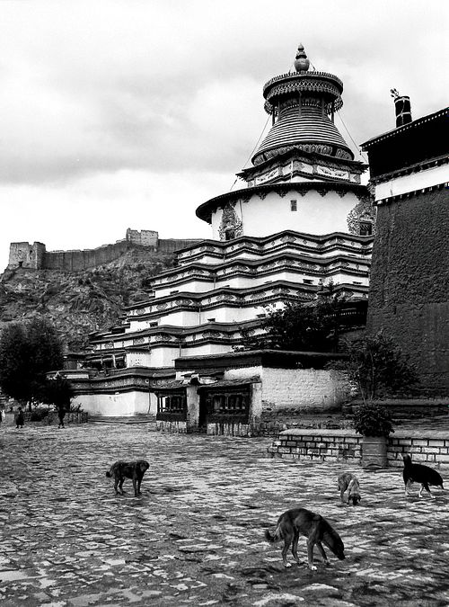 Gyantse | Tibet | 2005