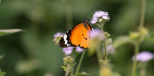 Sell your photos online!