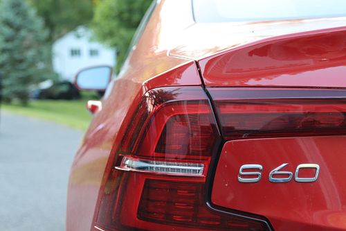 Portraits and Stills