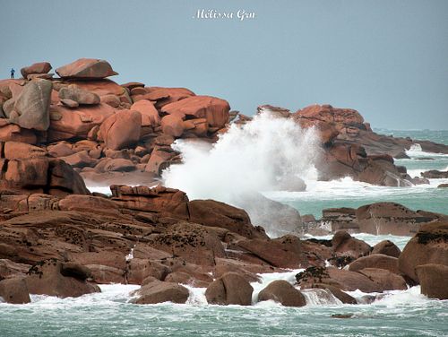 Portfolios Nature