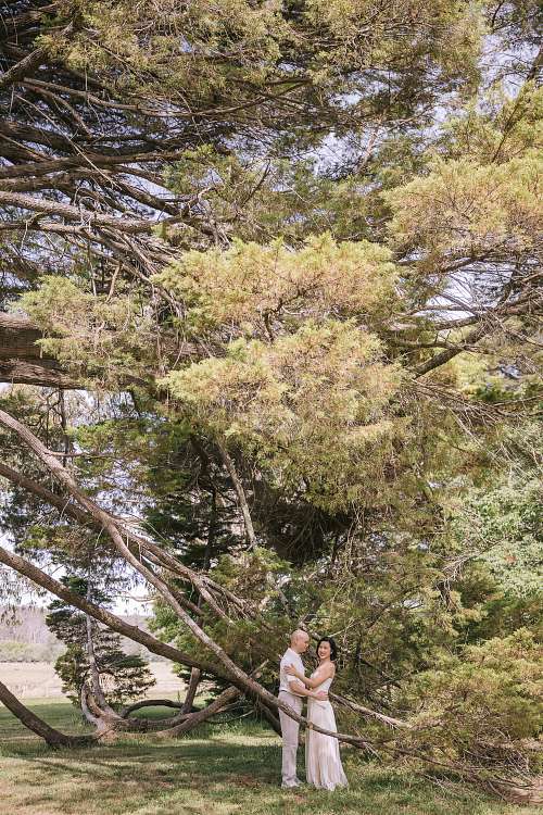 Surprise Proposal Photography at Retford Park National Trust