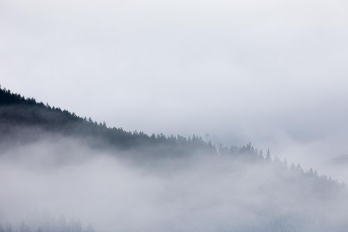 Colline ou sommet émergeant d’une mer de brume.