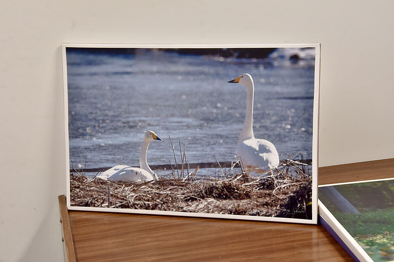 MÜÜA NÄITUSE OLNUD LÕUENDIPILTE