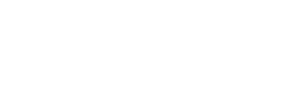 M a r t i n           R o d a h l