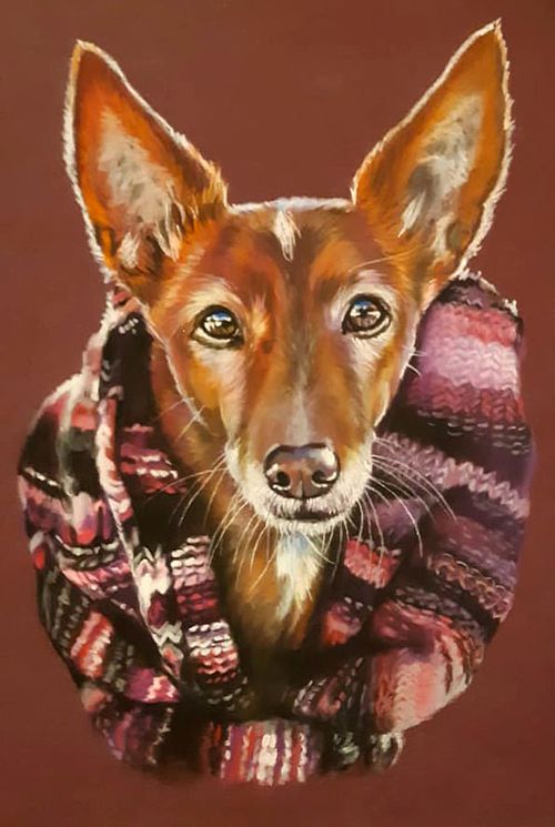 Pastel dog portrait with loving and expressive gaze