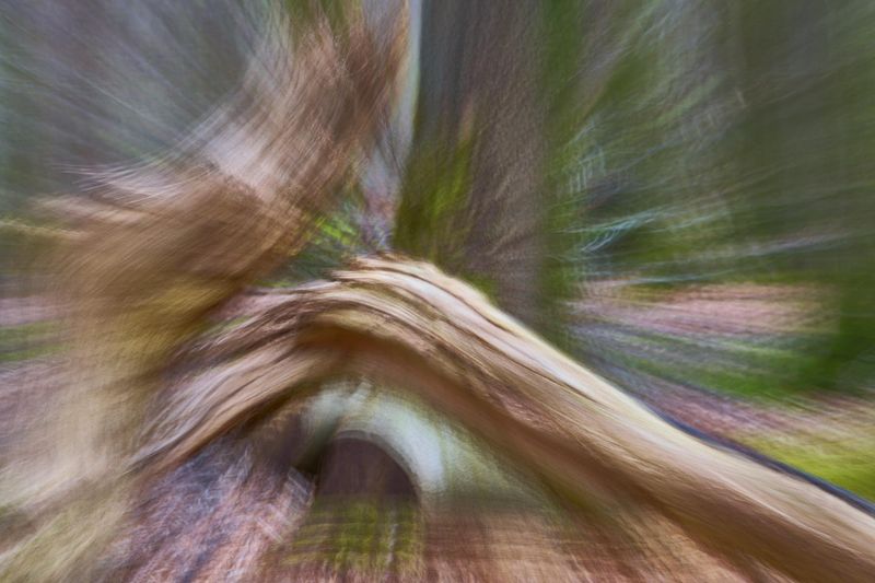 Abstracte natuurfotografie (4 juli 2026)