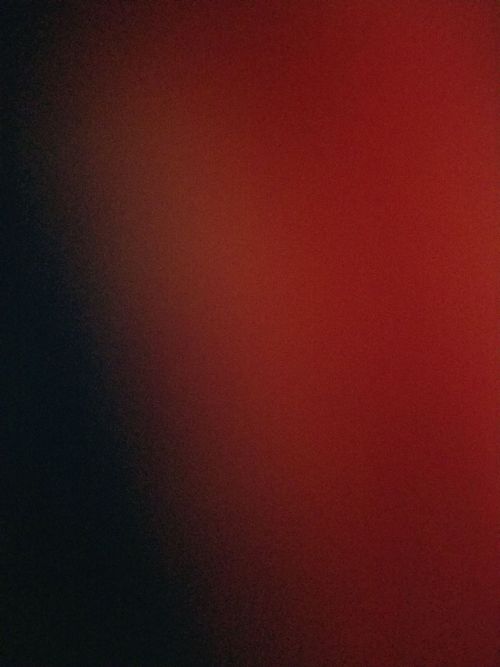 Ariel is a painter with special vision born of a unique process - she paints with her nose. The result is not only unique in its mechanics but also its energy.