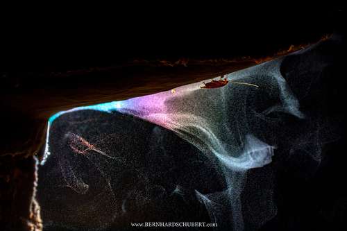 Magic Spores