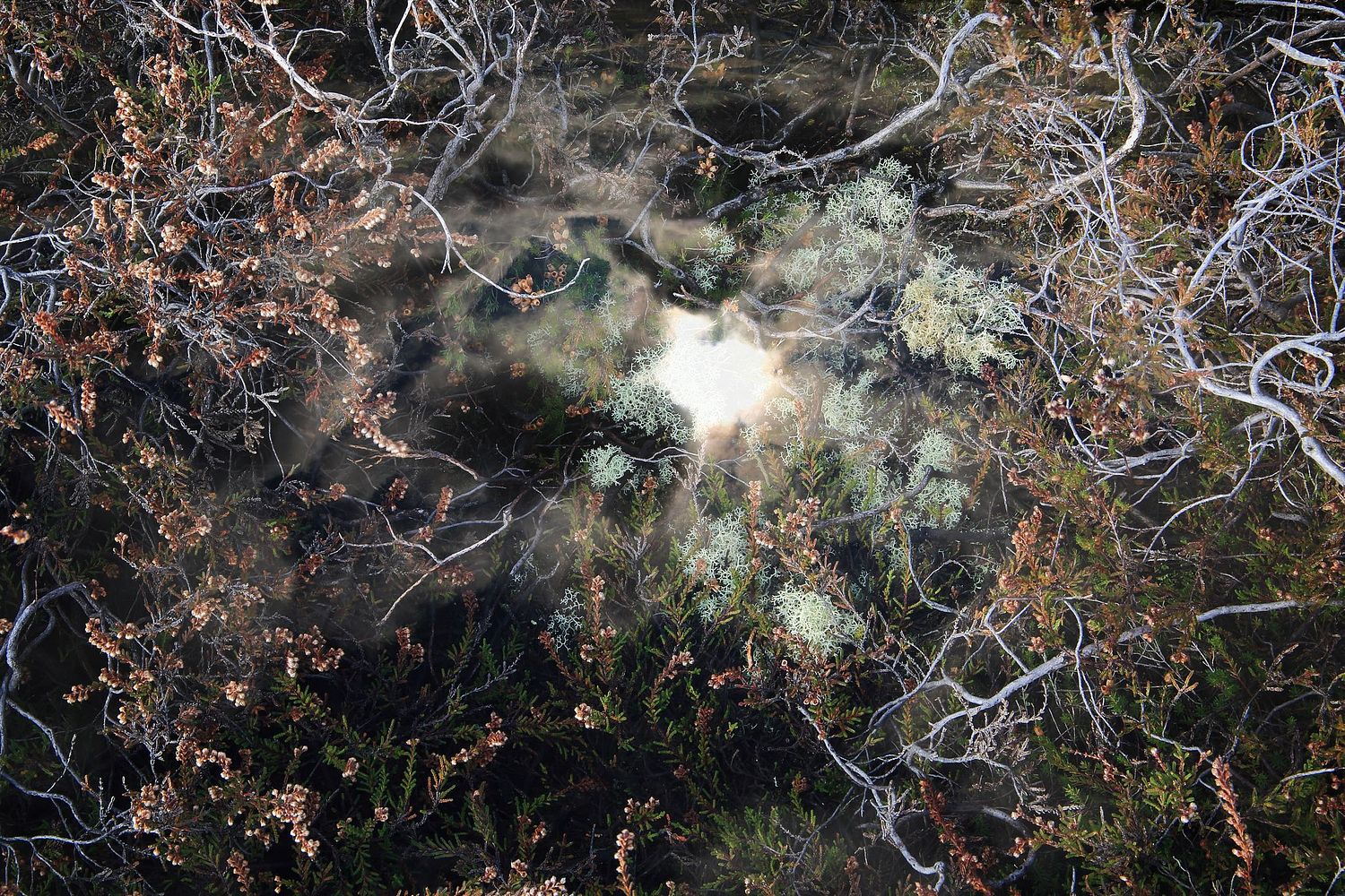 David Foster Art Artist Photography Photographer Reading