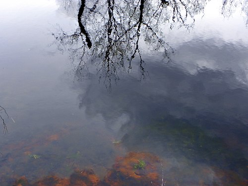 Looking Under Water with Clouds