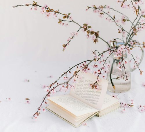 ESCRITORA