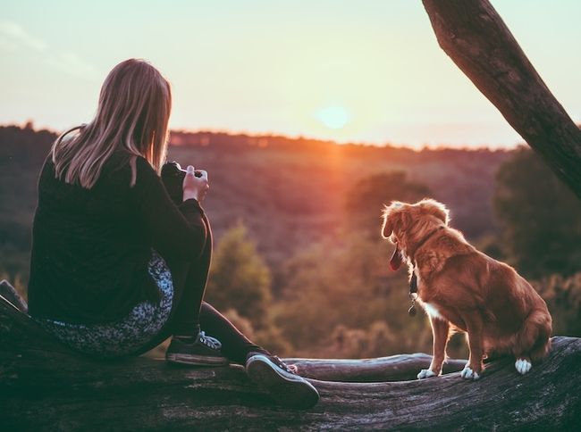 Trabajos de fotografía de mascotas