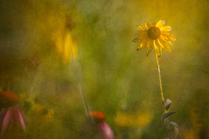 The Art of Lingering: A Journey Toward Restoration