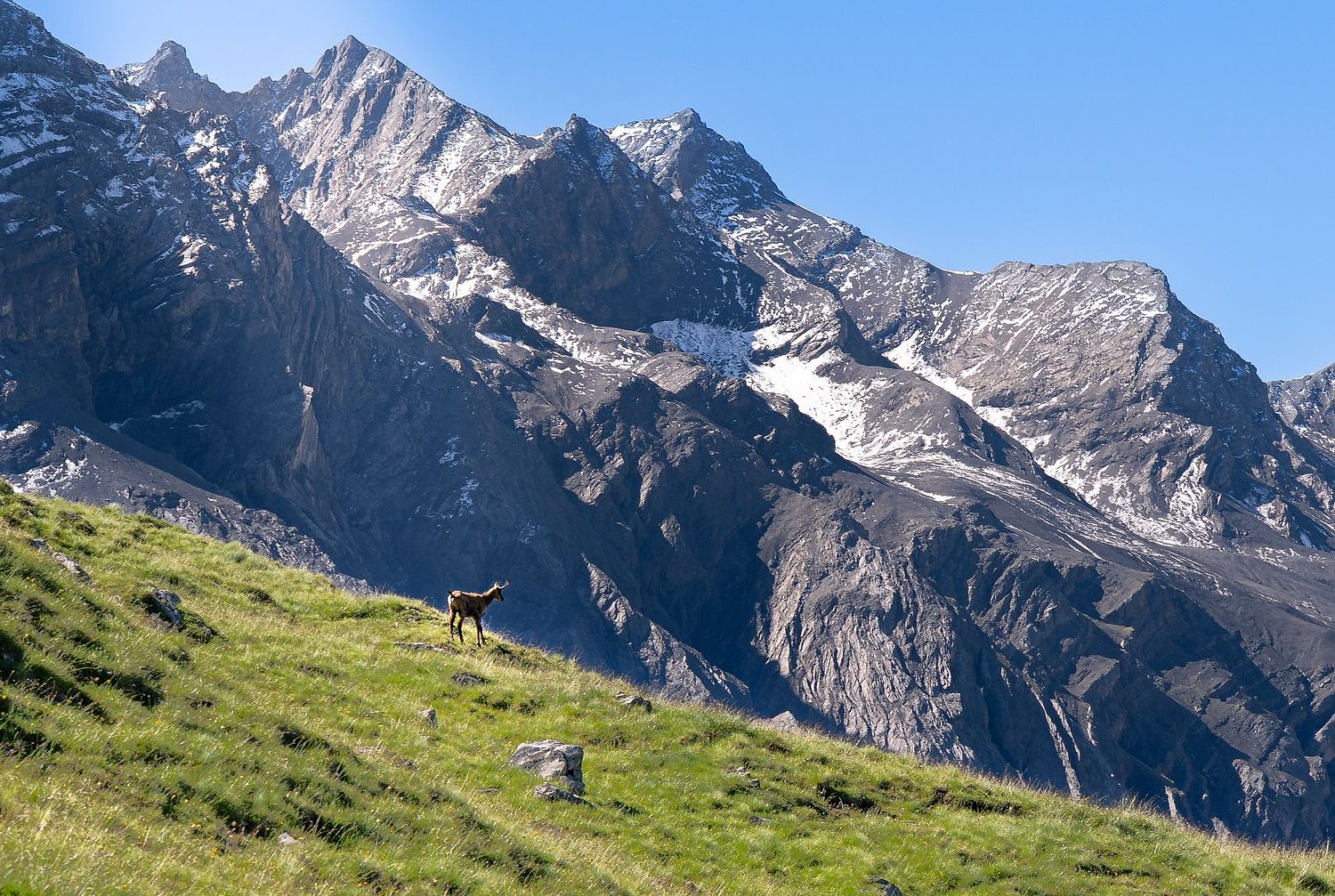 Noah Conzetti Photography