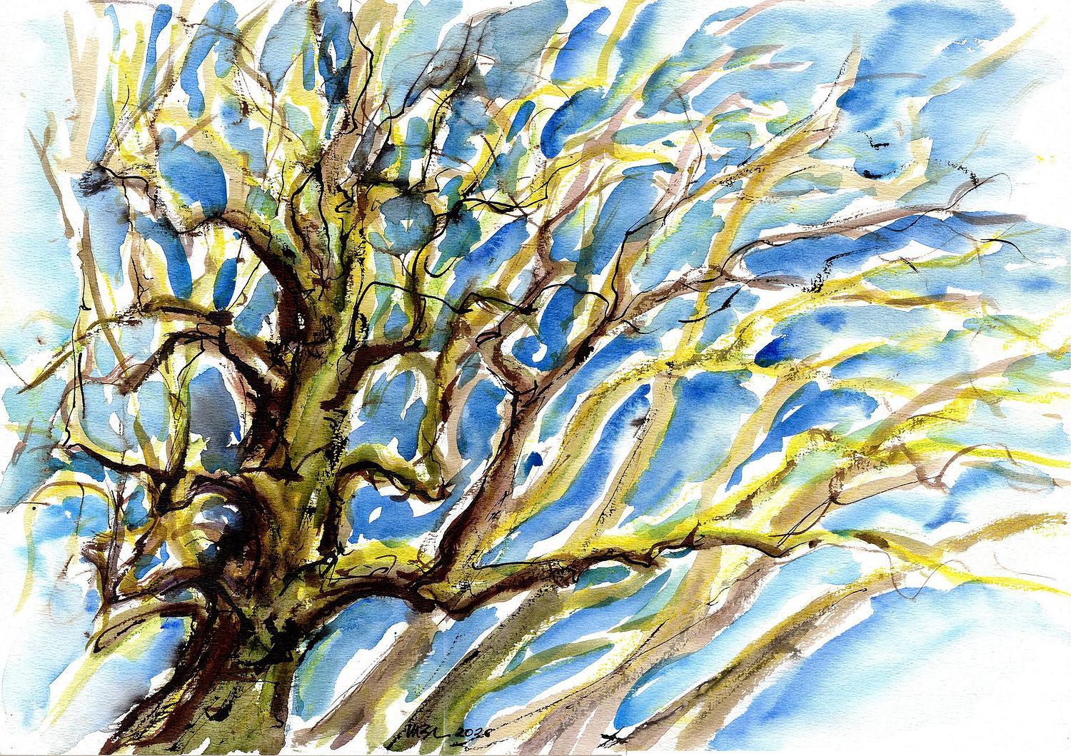 Tronc et branches d'un magnifique platane vu du parc de l'Ile-Verte &agrave; Chatenay-Malabry