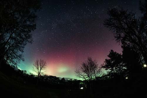 Skies