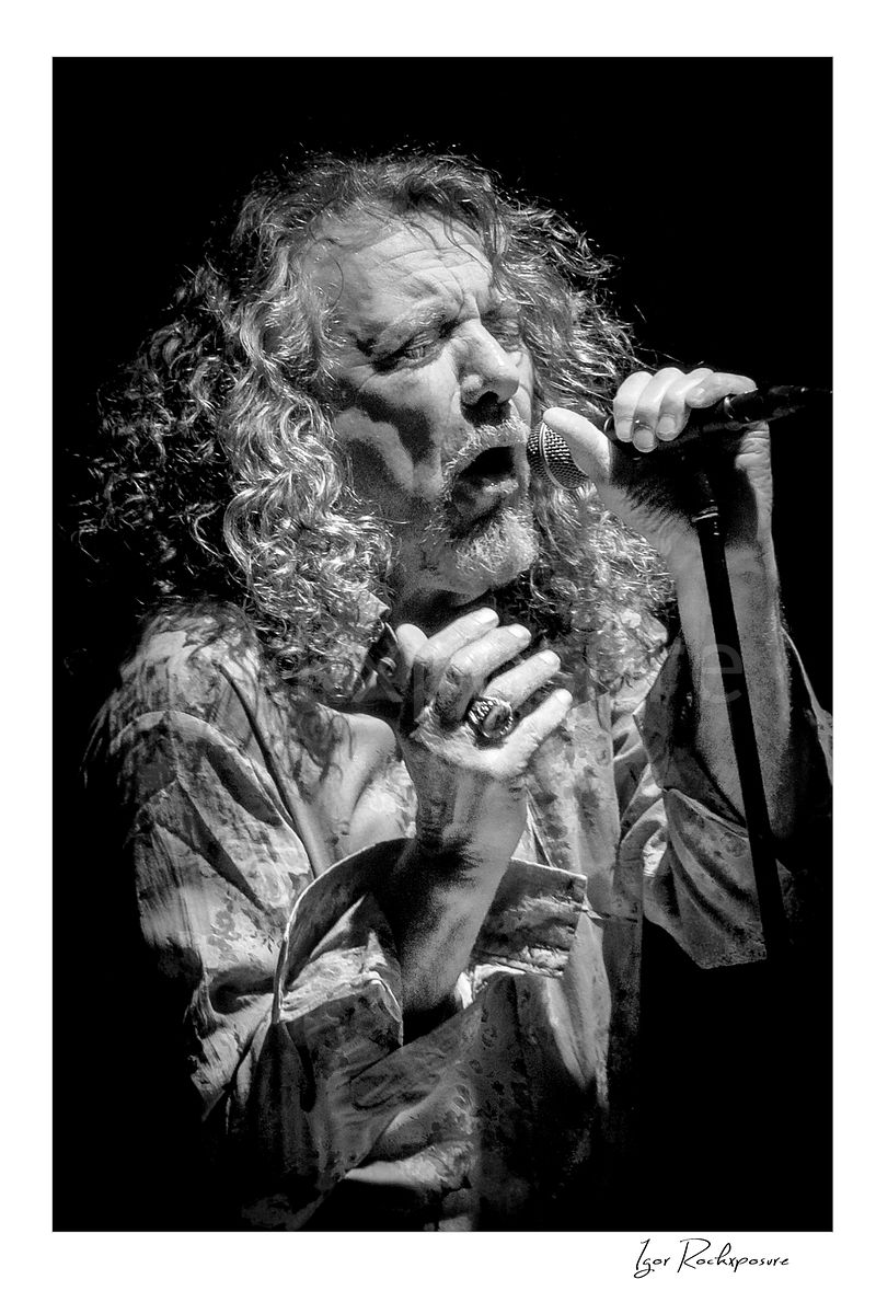ROBERT PLANT