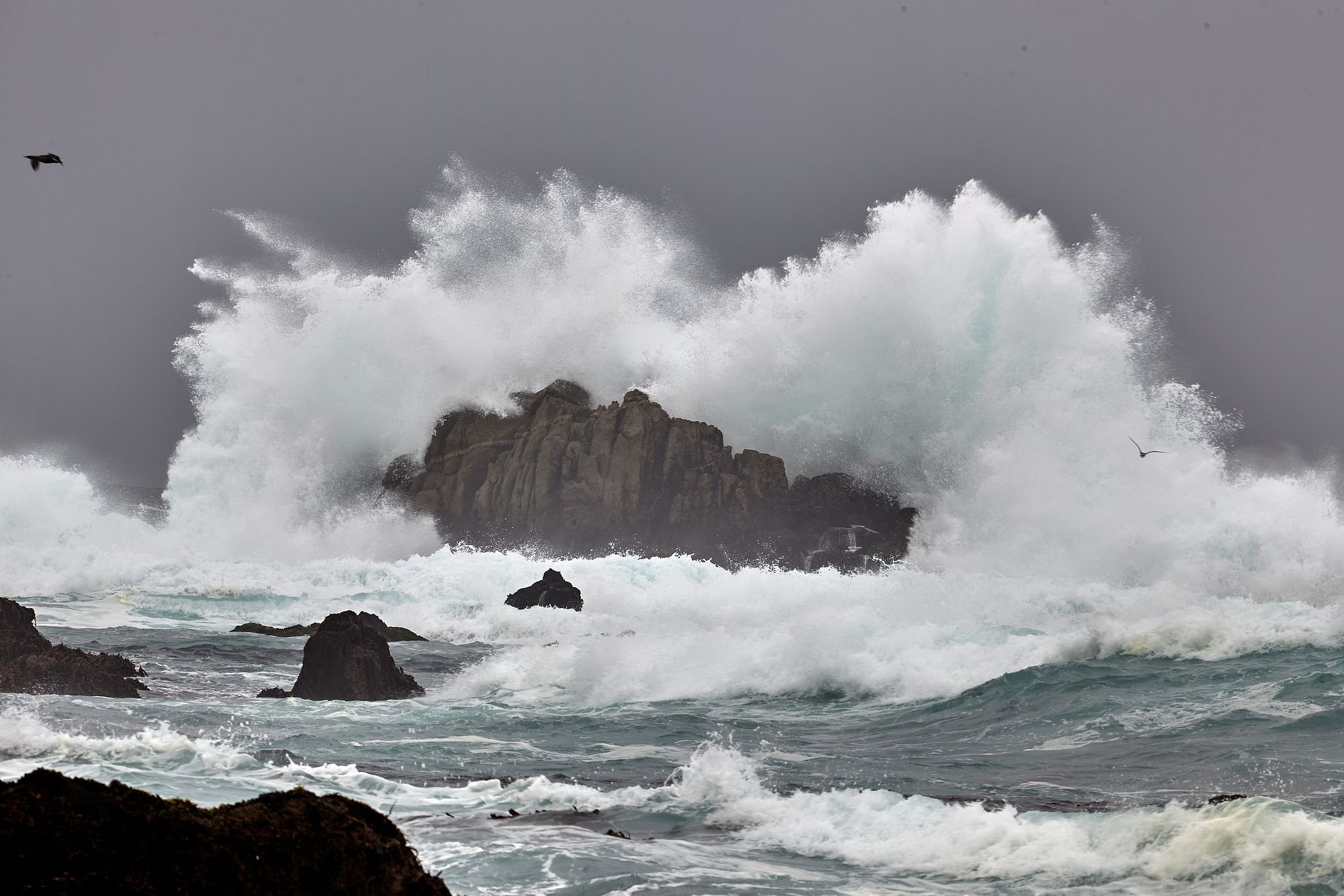 Pacific Coast Surf Explosion - Pacific Grove, California