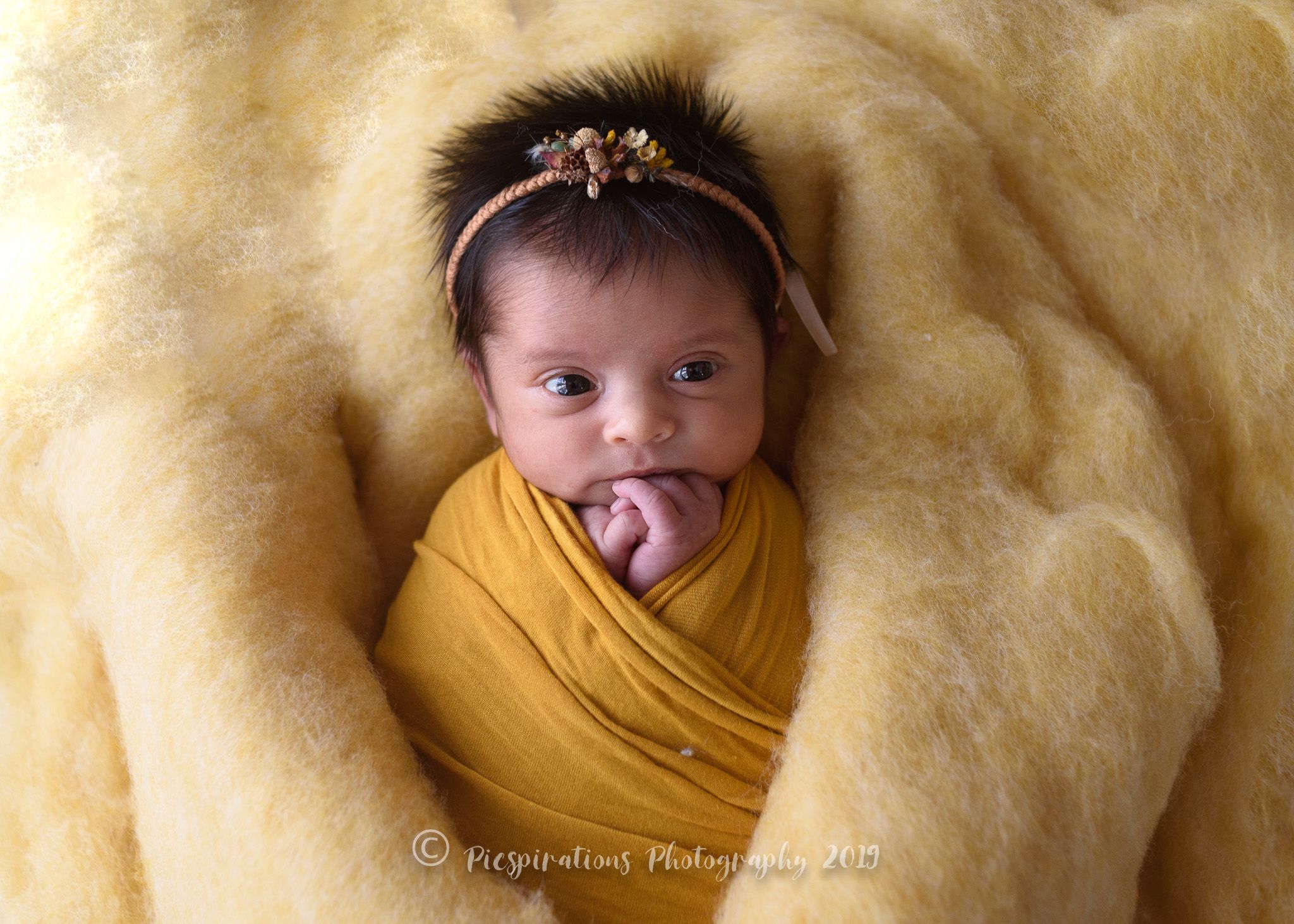 Newborn Photography - Picspirations Photography (27)