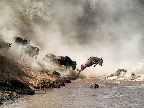 Africa