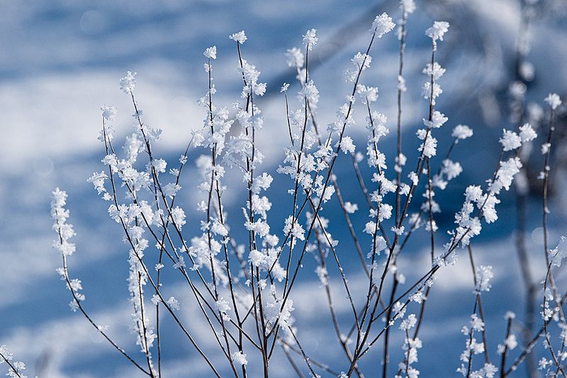 Saabuv n&auml;dalavahetus oli k&uuml;lma lainel.