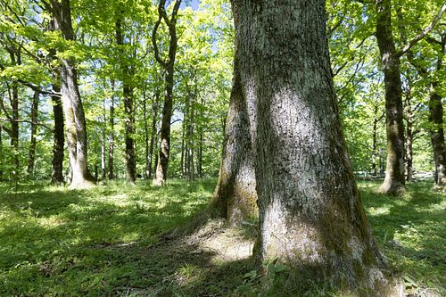 Im Nationalpark Jomfruland