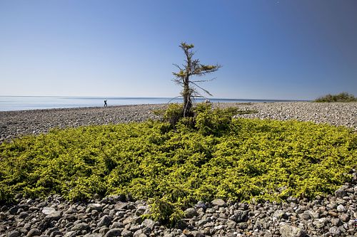 Im Nationalpark Jomfruland