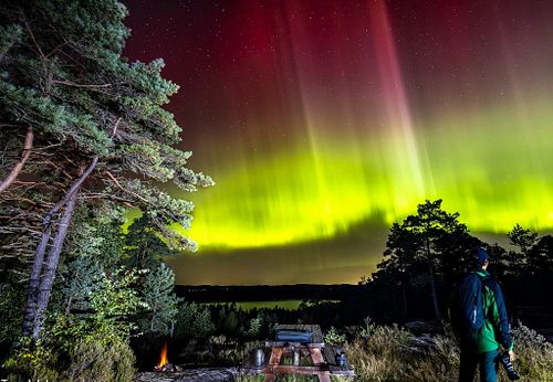 Northern Lights at Tunevannet, Sarpsborg 2026