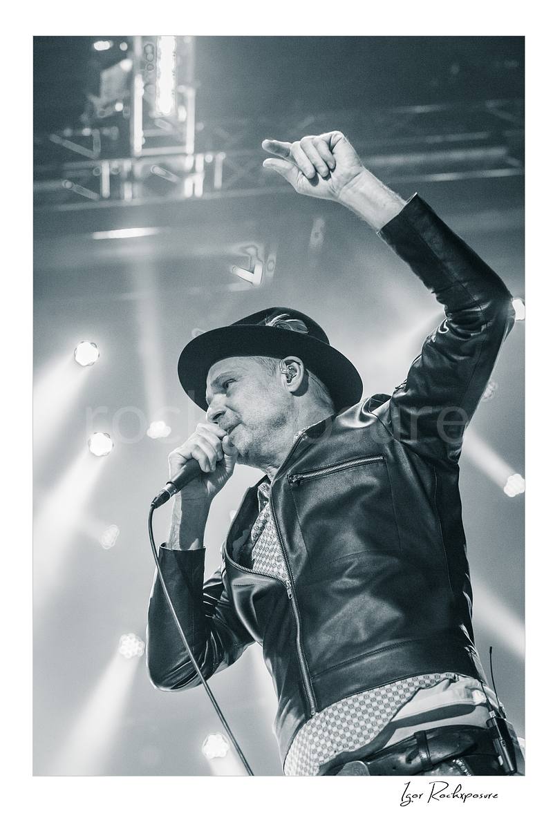 GORD DOWNIE / TRAGICALLY HIP