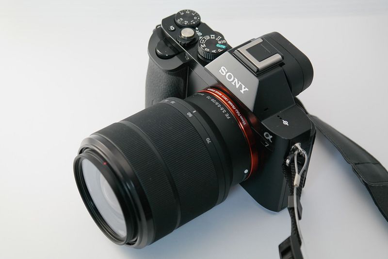 Photography showdown: DSLR vs. Mirrorless cameras – who comes out on top?