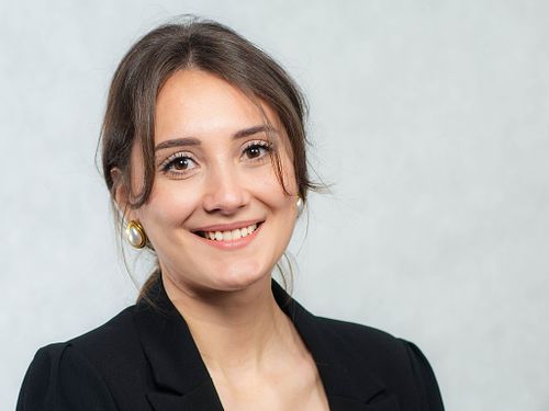 Portrait Professionnel & identit&eacute;