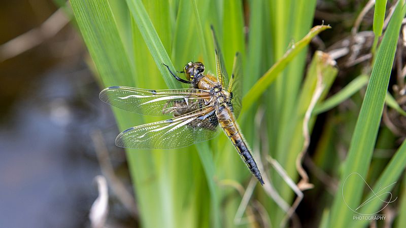 Ute på oppdrag etter kl 14:00