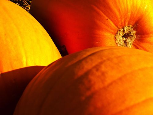 Kapelle Wilder Geschinen