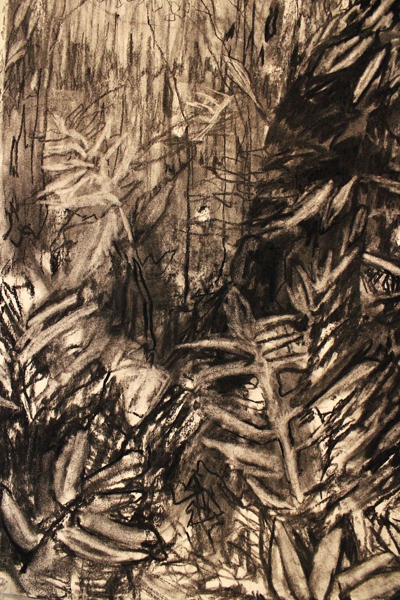 along our path: spring