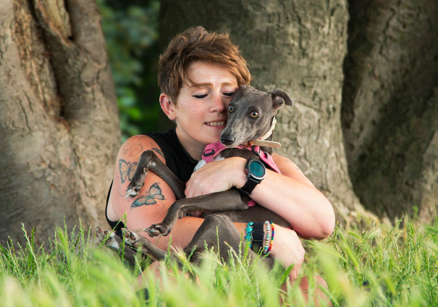 Dorset Dog Portraits