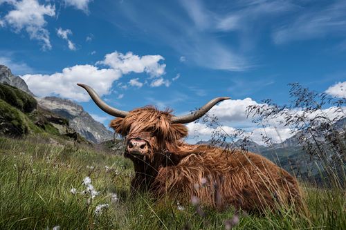 Oberengadiner Landschaft