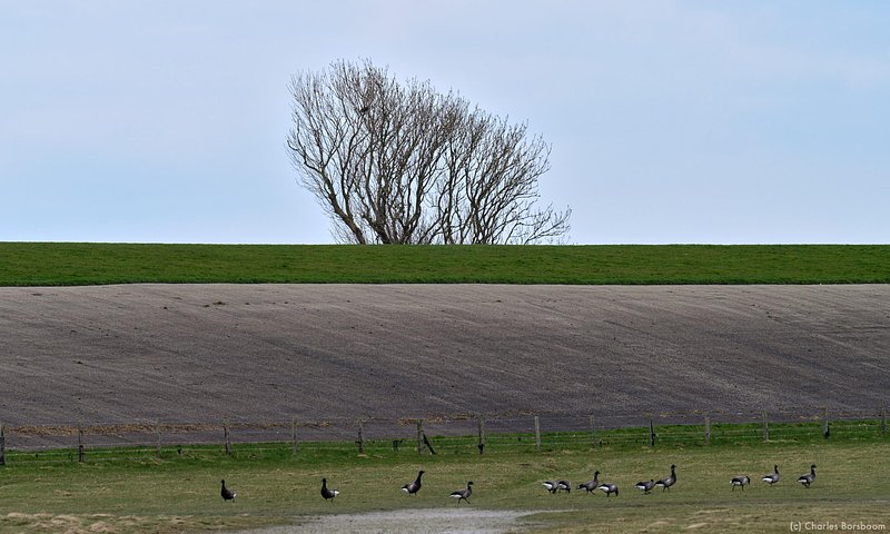 The Next Step (20 - 22 november 2026)