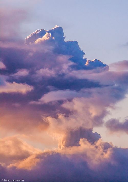 Icelanders – Strong, Creative, and Self-Reliant in a Land of Volcanic Forces