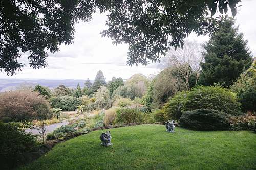 Wedding Ceremony at Blue Mountains Botanic Garden Mount Tomah