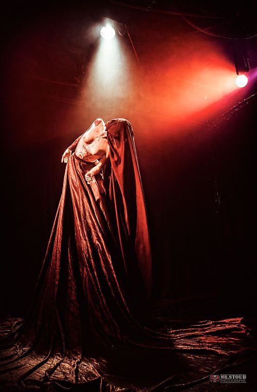 SPECTACLES & PERFORMANCES