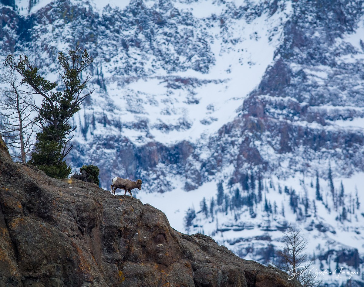 North Fork Solitude