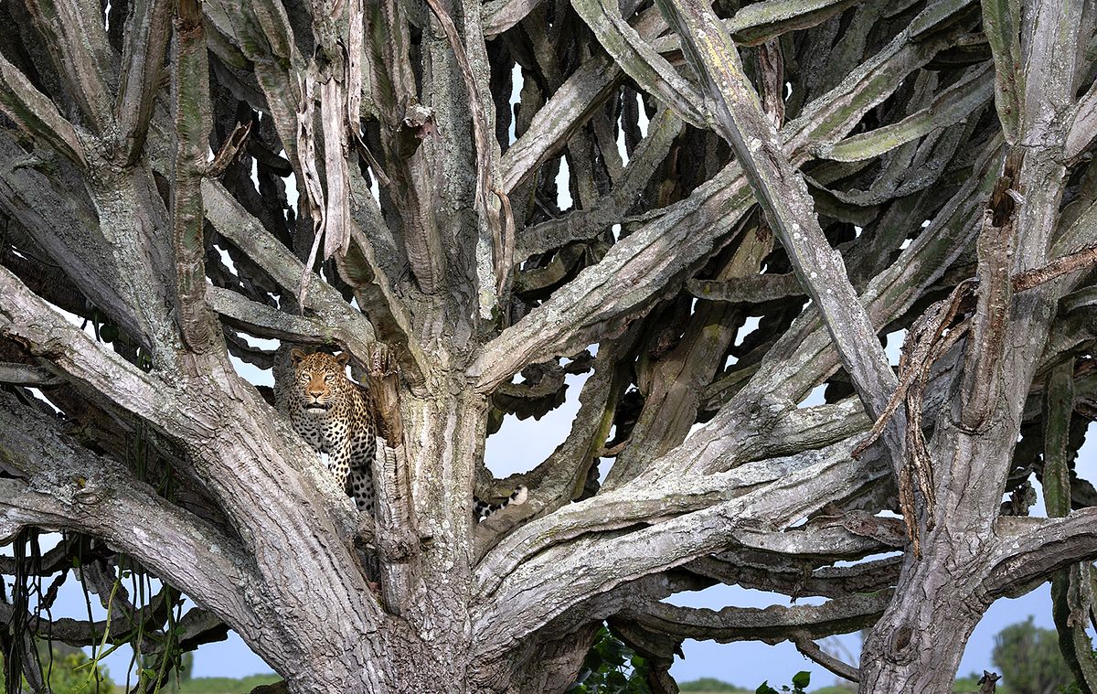 award-winning photographer,