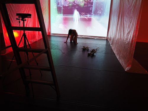 Live, real-time generative visual environments