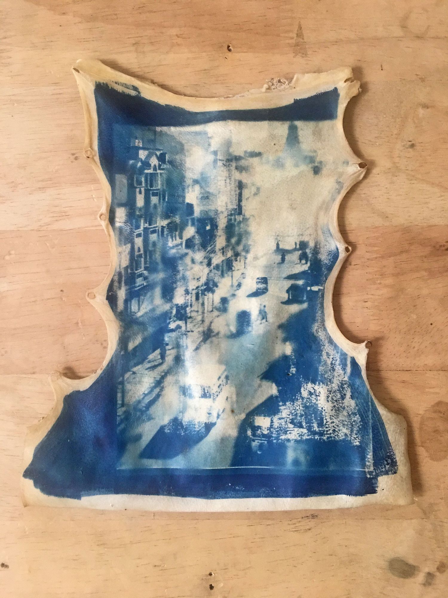 Cyanotype