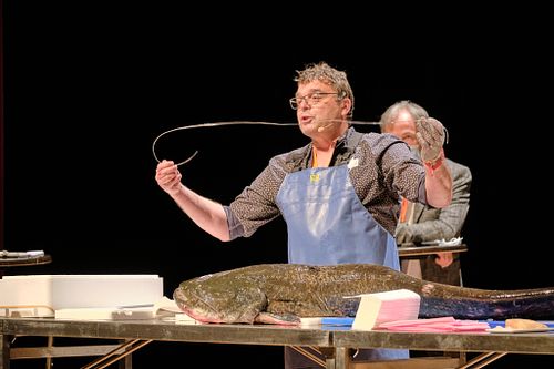 reportage,evenementiel, salon, seminaire,colloque, entreprise,salon