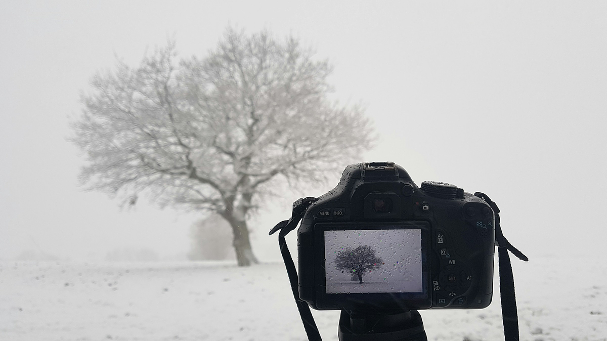 Photographie de paysages hivernaux