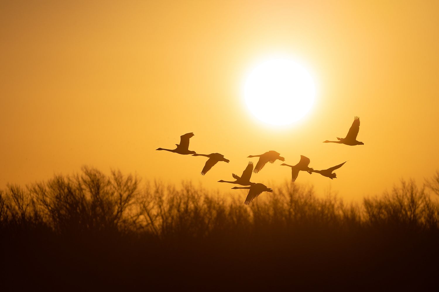 John Mauser Photography