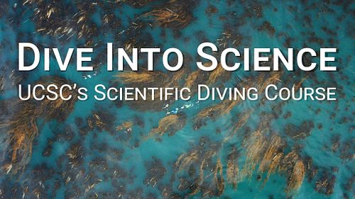 Dive Into Science
