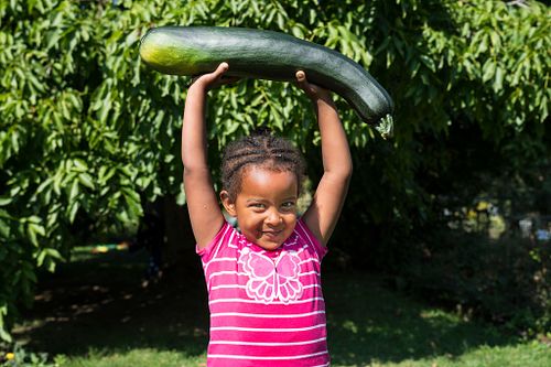 Familiengarten für Migranten